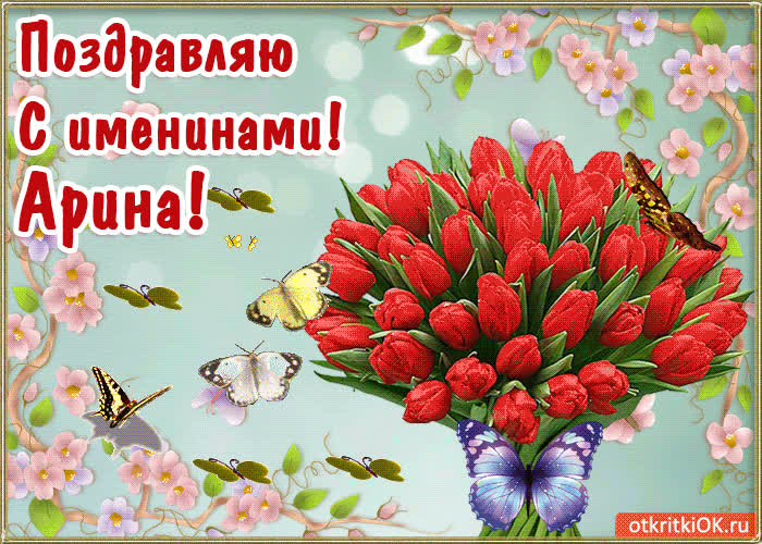 Картинка с днём имени арина