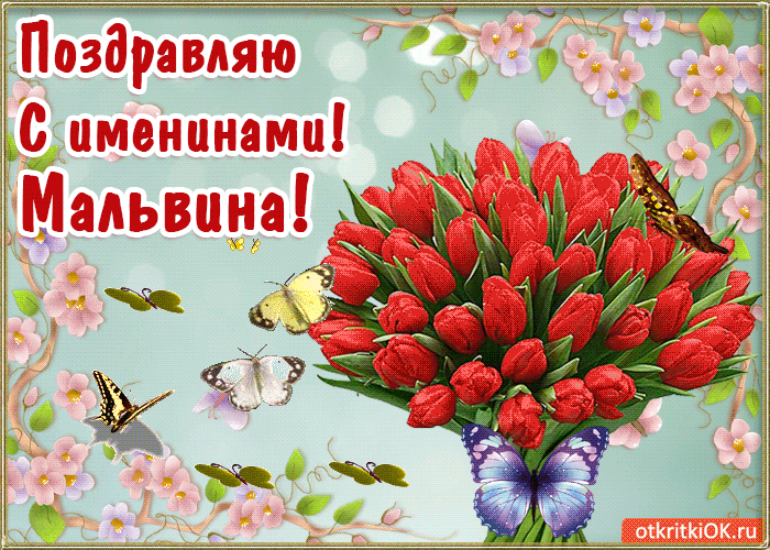 Картинка с днём имени мальвина