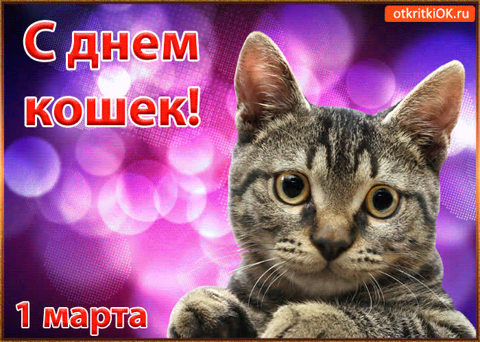 Картинка с днём кошек 1 марта