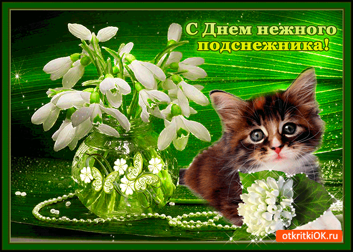 Открытка с днём нежного подснежника