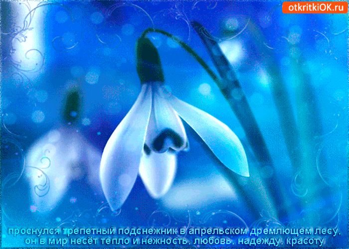 Открытка с днём подснежника - любви и надежды желаю