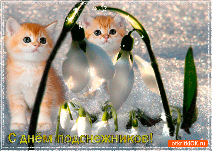 Картинка с днём подснежника мой друг