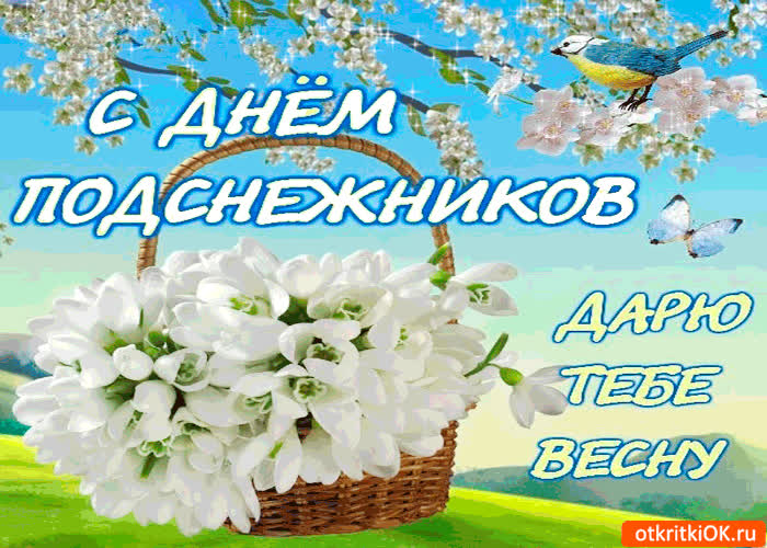 Картинка с днём подснежников - дарю тебе весну