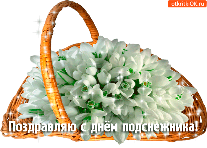Открытка с днём подснежников нежно поздравляю