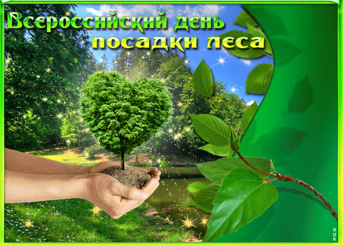 Картинка с днем посадки леса