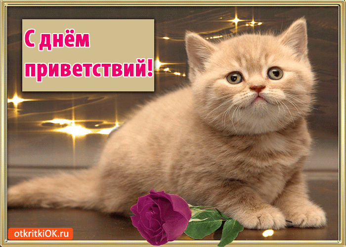 Открытка с днём приветствий! 21 ноября