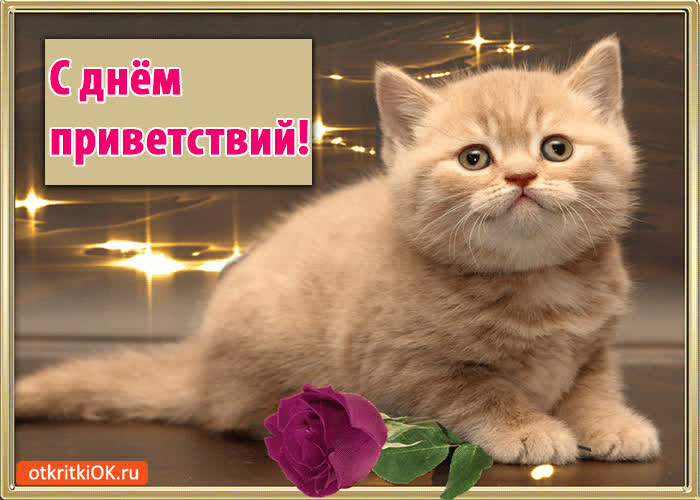 Картинка с днём приветствий! 21 ноября