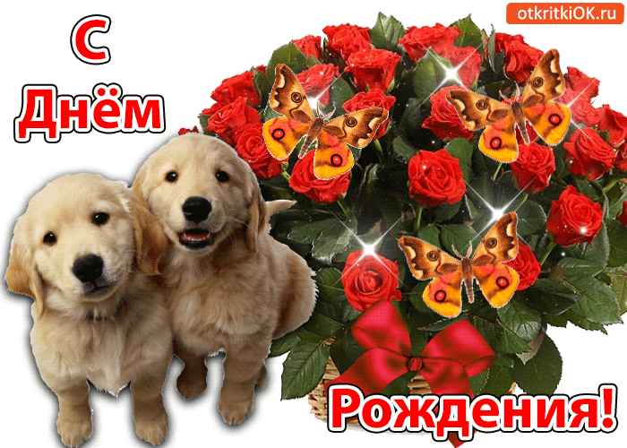 Картинка с днём рождения!