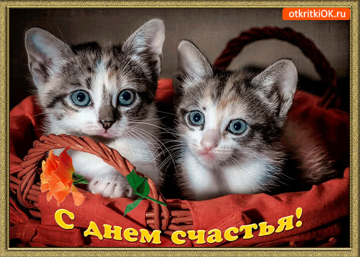 Картинка с днём счастья дорогие друзья