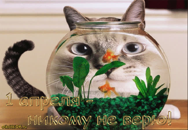 Картинка с днём смеха поздравить друзей