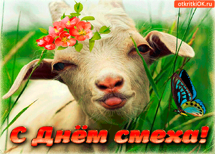 Картинка с днём смеха