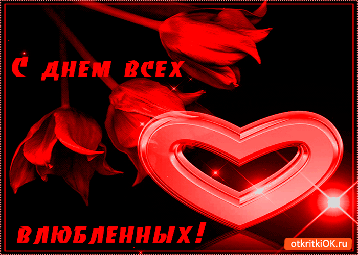 Картинка с днём влюблённых решил поздравить