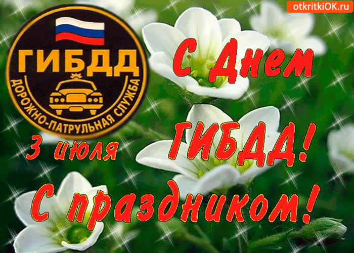 Картинка с днём гаи! с праздником!