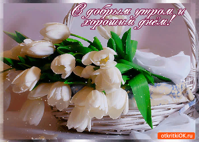 Картинка с добрым утром и хорошим днём