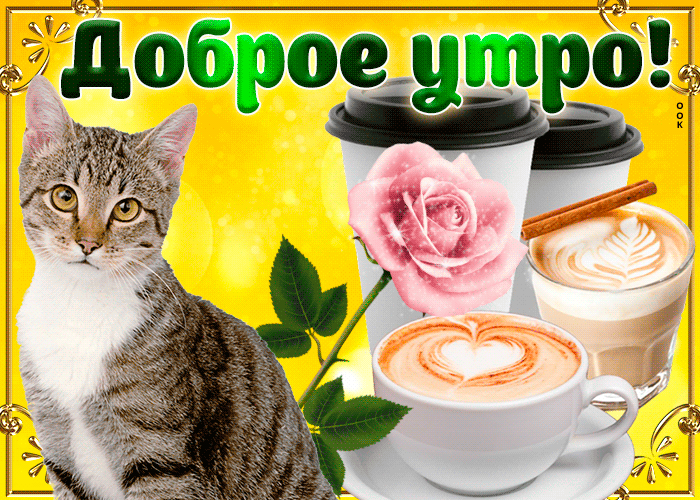 Открытка с добрым утром мои любимые друзья