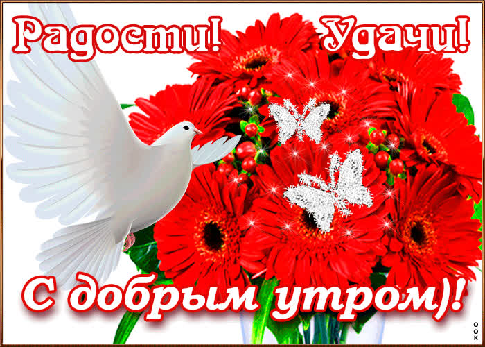 Картинка с добрым утром! радости! удачи!