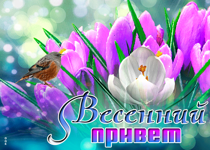 Картинка с добрым весенним приветом