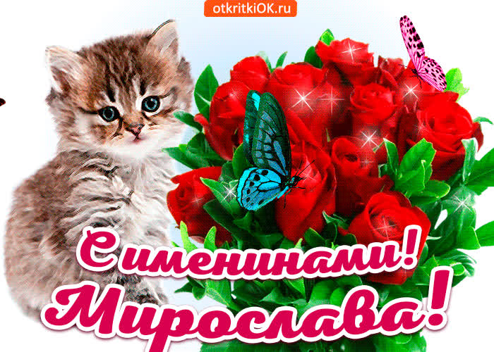 Картинка с именинами мирослава