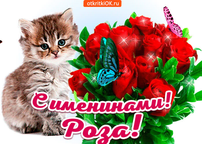 Картинка с именинами роза