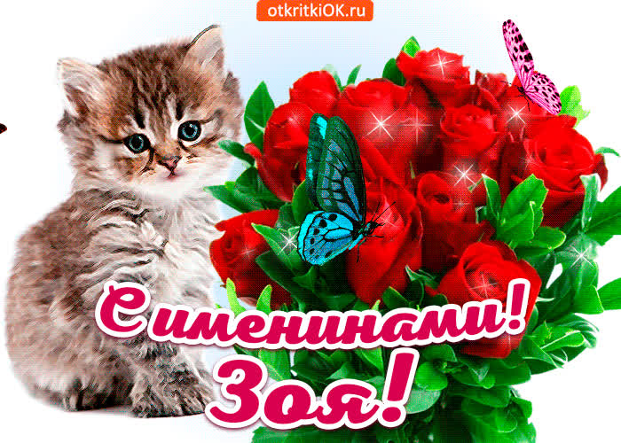 Картинка с именинами зоя