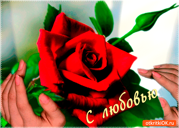 Открытка с любовью цветочек