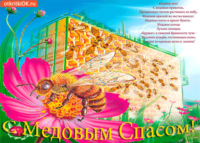 Картинка с медовым спасом! с медовым приветом!
