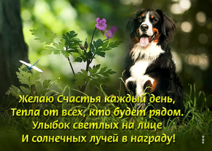 Картинка с наилучшими пожеланиями счастья