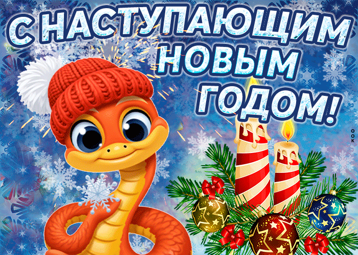 Картинка с наступающим новым годом свиньи