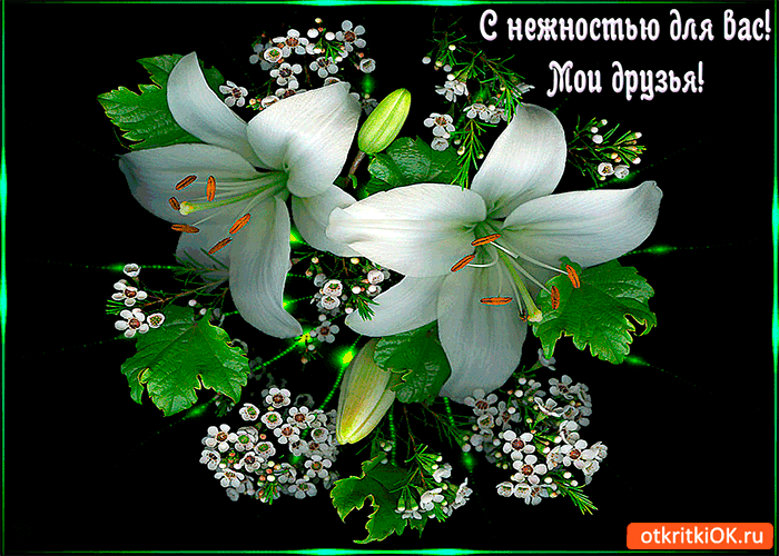 Открытка с нежностью для моих друзей