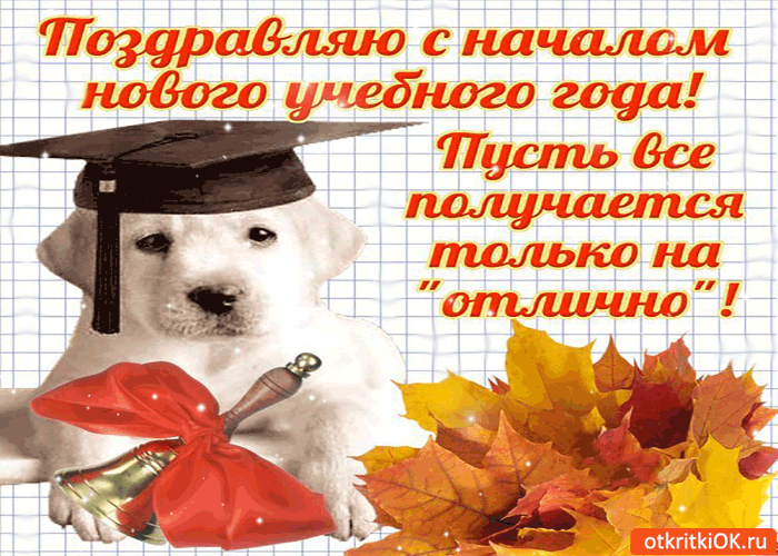 Картинка с новым учебным годом - пусть получается всё на отлично!