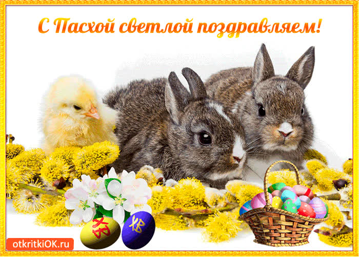 Картинка с пасхой светлой я поздравляю