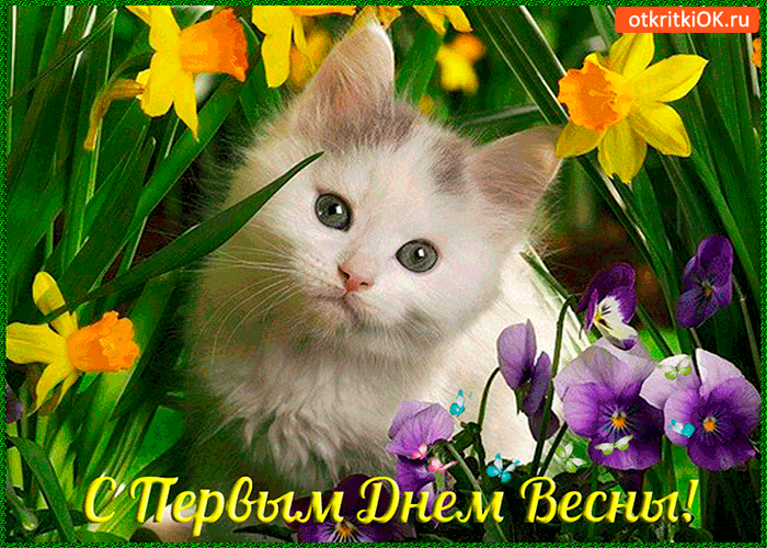 Открытка с первым днём весны тебя