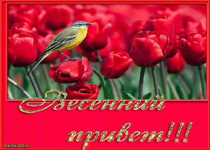 Открытка с первым днём весны цветы