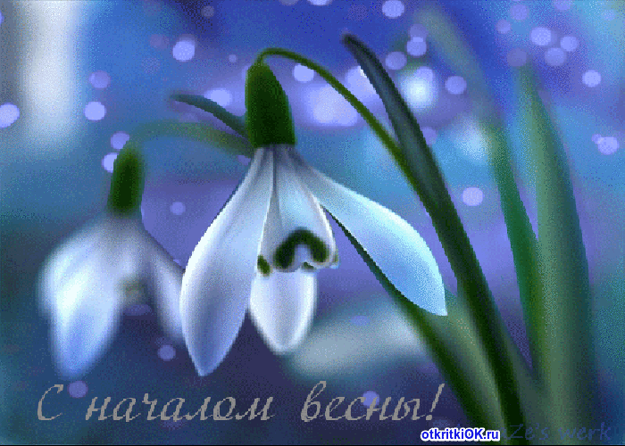 Открытка с первым днём весны