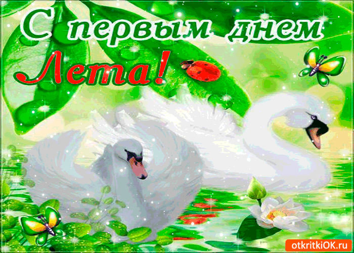 Картинка с первым днём лета открытка