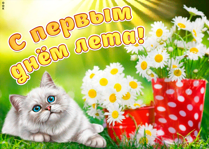 Картинка с первым июня вас, друзья!