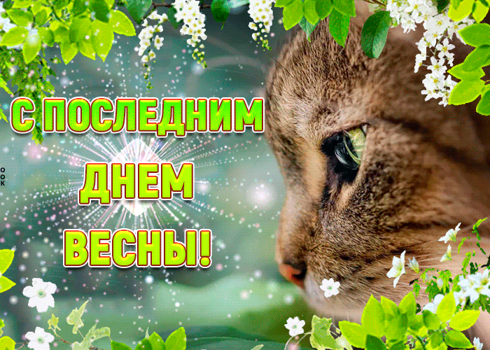Открытка с последним днем весны