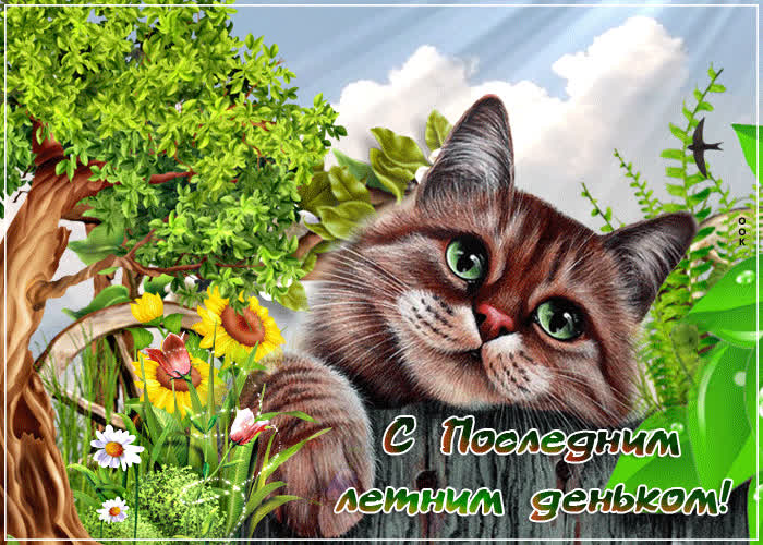 Картинка с последним летним деньком