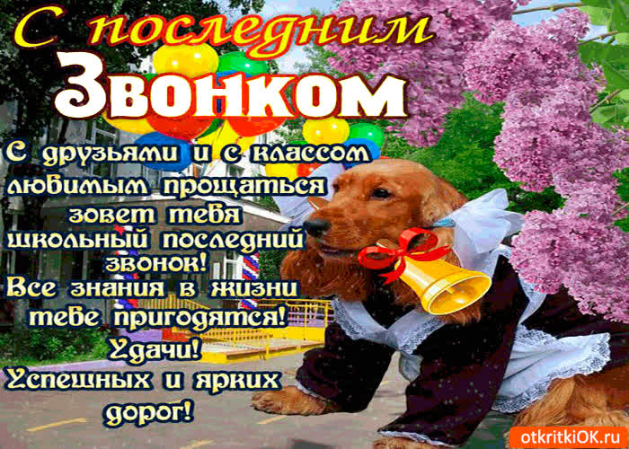 Картинка с последним звонком - удачи и ярких дорог