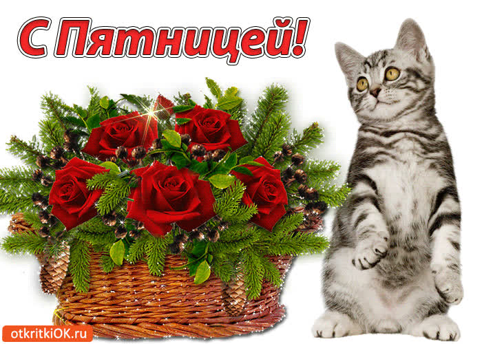 Картинка с пятницей, друзья!