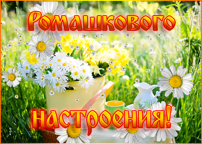Картинка открытка с цветами