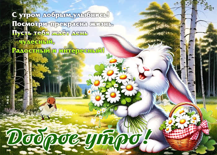 Postcard с утром добрым, улыбнись! посмотри - прекрасна жизнь