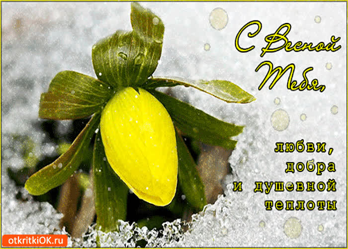 Картинка с весной тебя