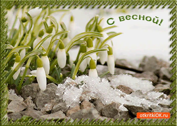 Картинка с весной вас друзья