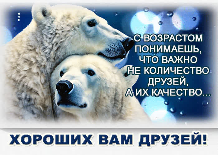 Postcard с возрастом понимаешь, что важно не количество друзей, а их качество