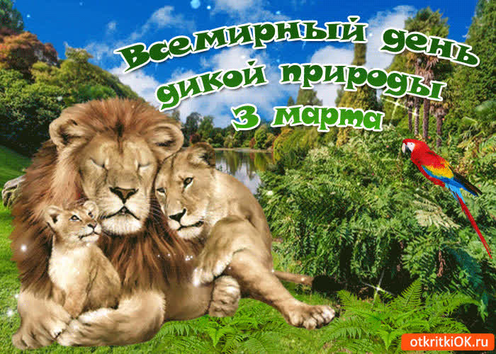 Картинка с всемирным днем дикой природы