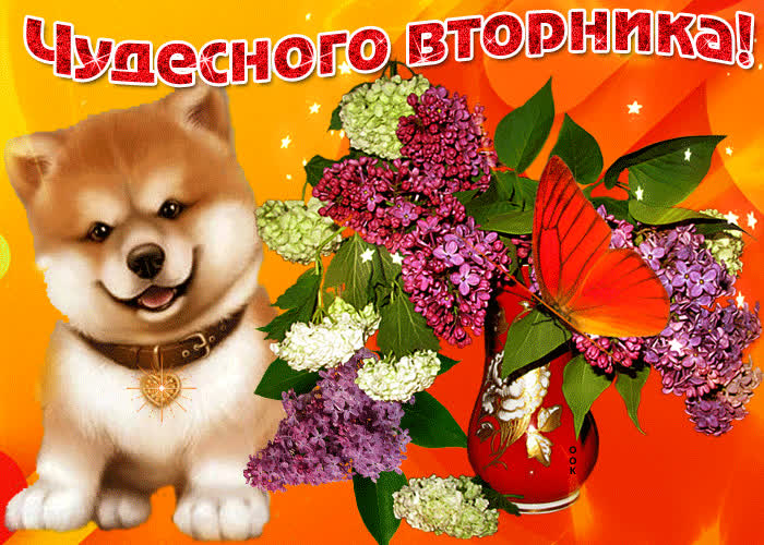 Картинка с вторником, прекрасного дня