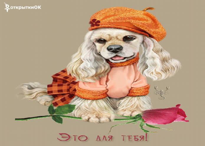 Картинка самая красивая картинка друзьям