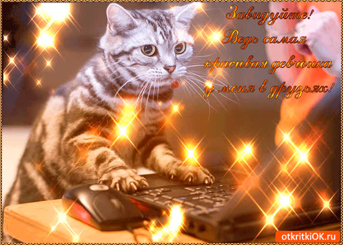 Картинка самая красивая девчонка у меня в друзьях