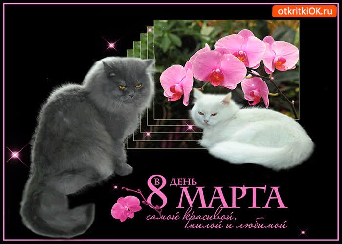 Картинка самой любимой на 8 марта